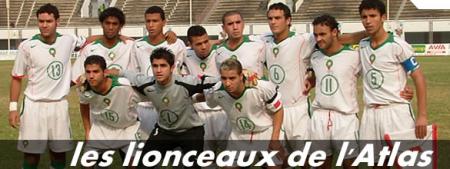 LES LIONCEAUX